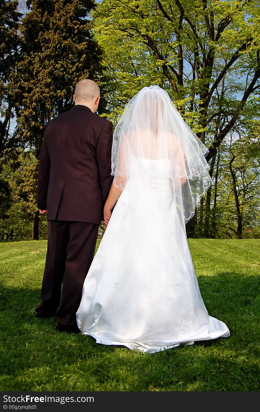 The photo from a wedding day.