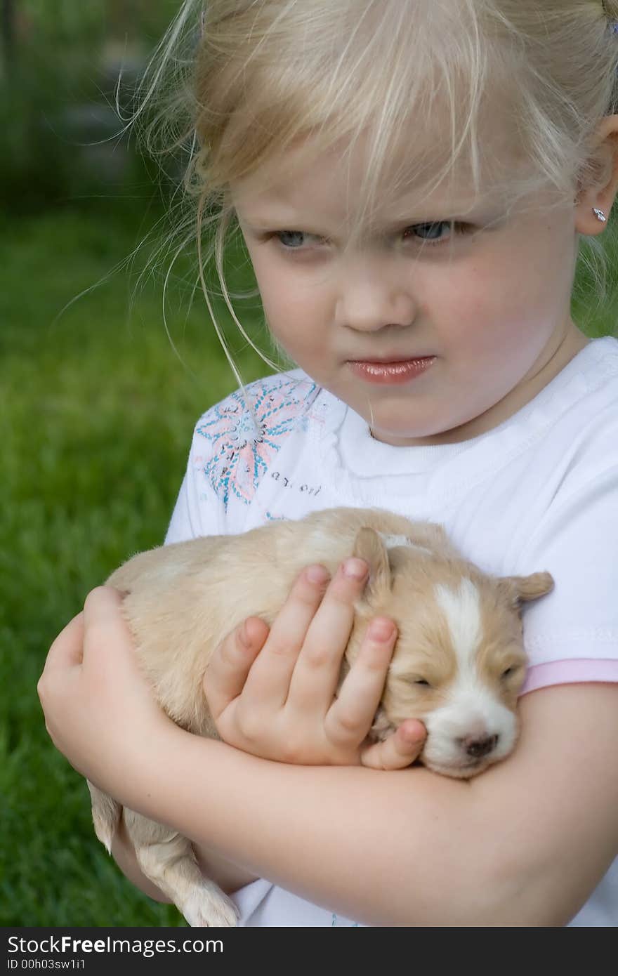 Young cute girl holding a  puppy. Young cute girl holding a  puppy