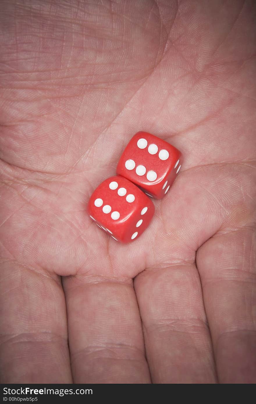 A Man's hand holding luckky dice. A Man's hand holding luckky dice