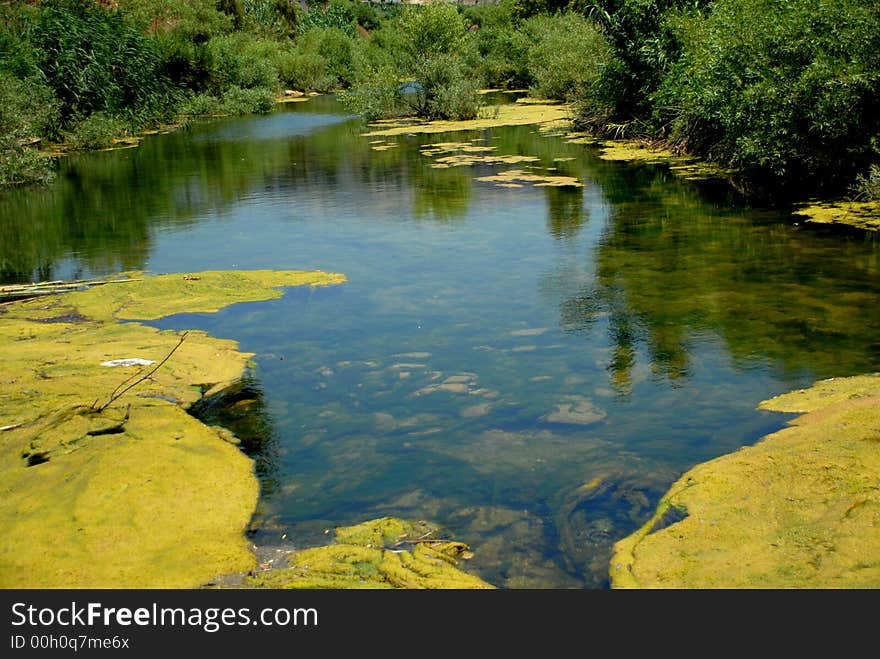 Scene of a river with reflection of trees on water. Scene of a river with reflection of trees on water