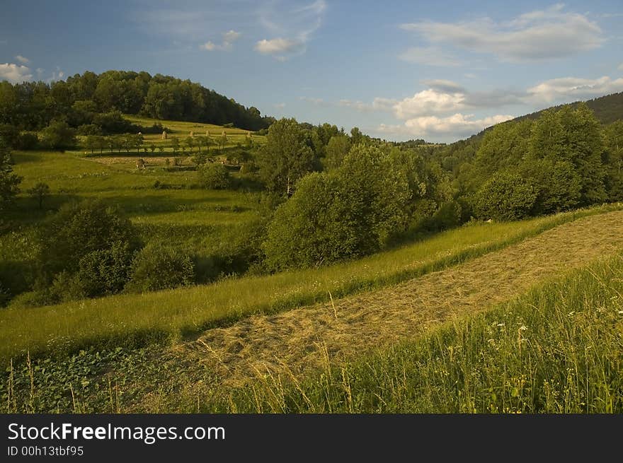 Mountan meadows with cured grass and hills of hay in summer.