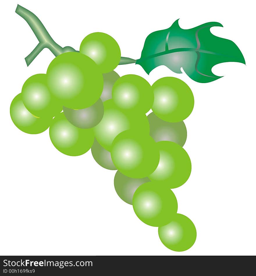 Art illustration of a green grapes