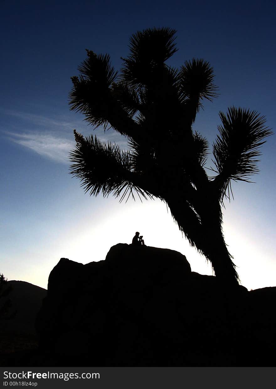 A person sits on boulders at Joshua Tree National Park to watch the sunset