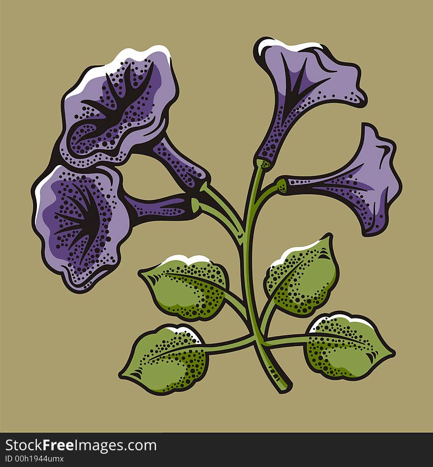 Vector illustration of violet petunias. Vector illustration of violet petunias.