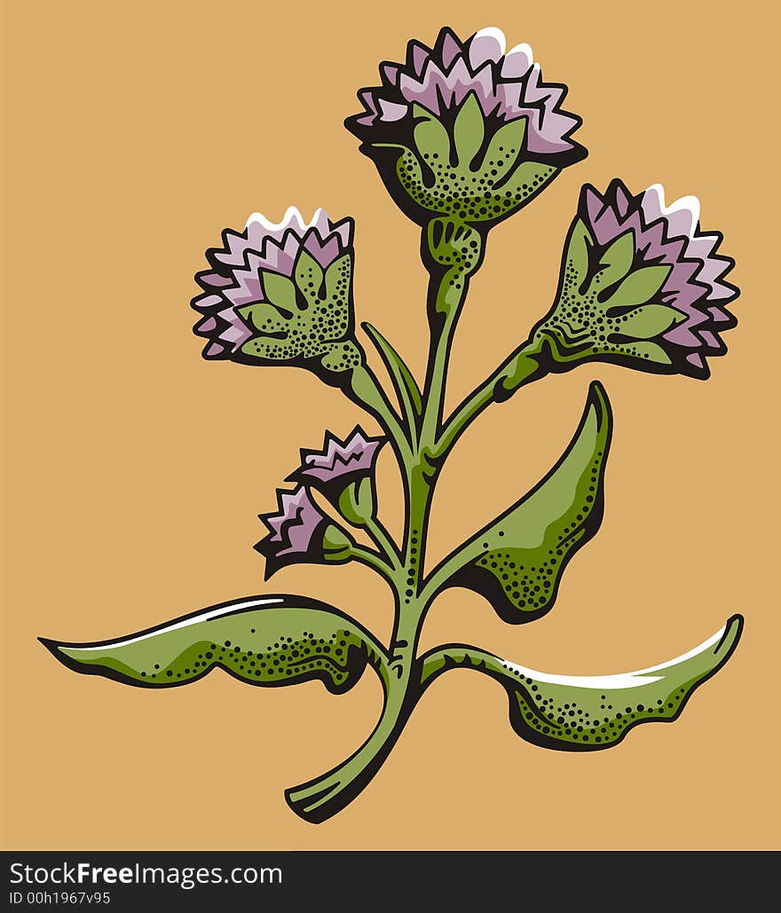 Vector illustration of mauve flowers. Vector illustration of mauve flowers.