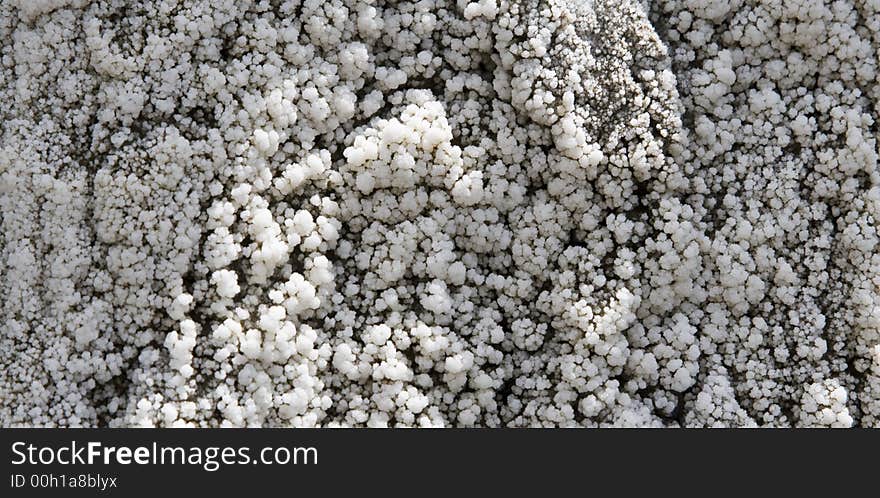 Salt crystallization on ground in Transylvania