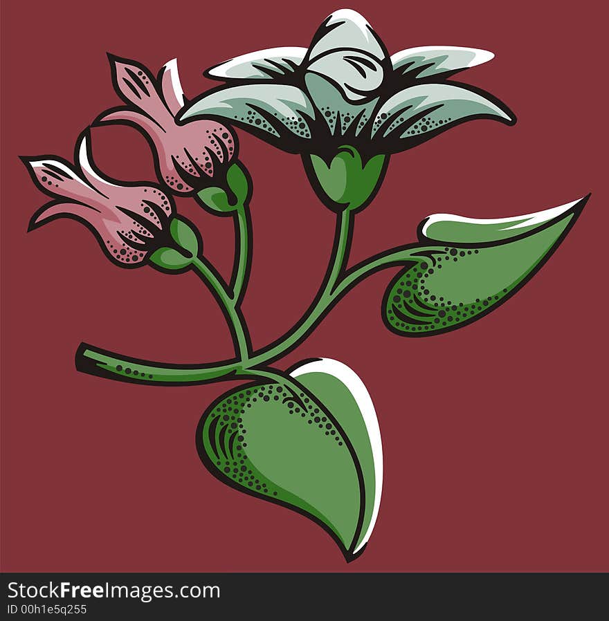 Vector illustration of a flower and flower buds. Vector illustration of a flower and flower buds.