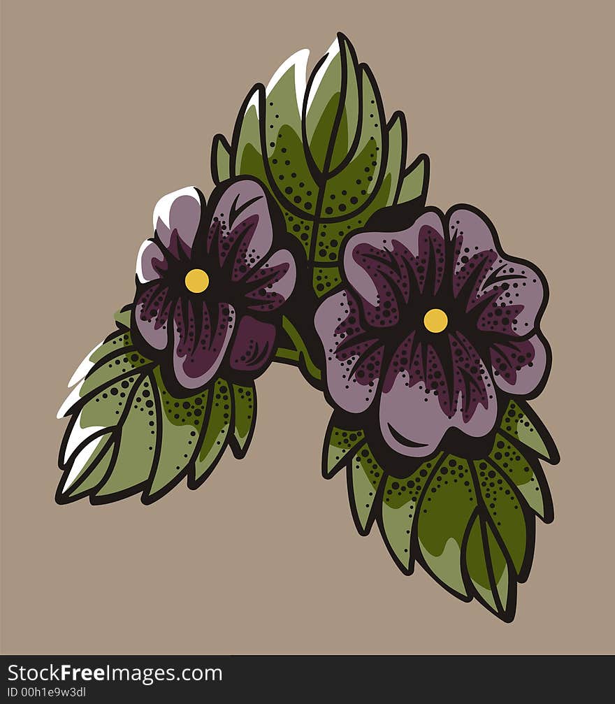 Vector illustration of two violet flowers. Vector illustration of two violet flowers.