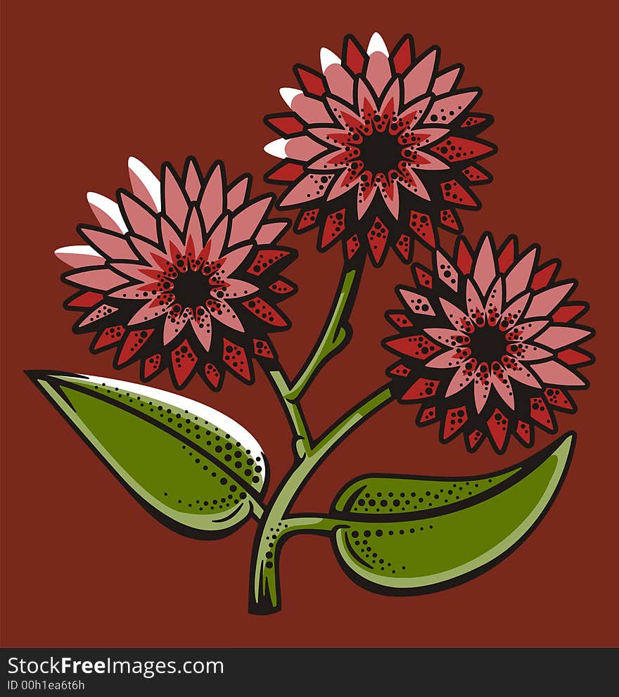 Vector illustration of red chrysanthemums. Vector illustration of red chrysanthemums.