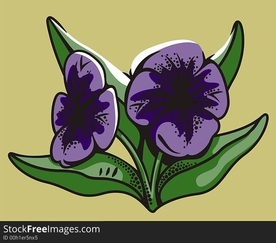 Vector illustration of two violets. Vector illustration of two violets.