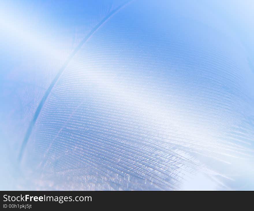 Abstract of bird's feather with lighting effect. Abstract of bird's feather with lighting effect