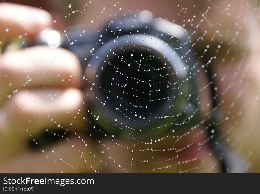 Photographing Of A Web