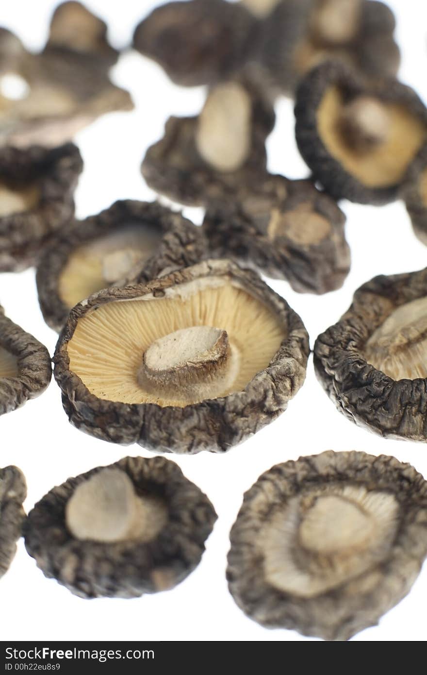 Close up of a ried shiitake mushrooms on white background. Close up of a ried shiitake mushrooms on white background