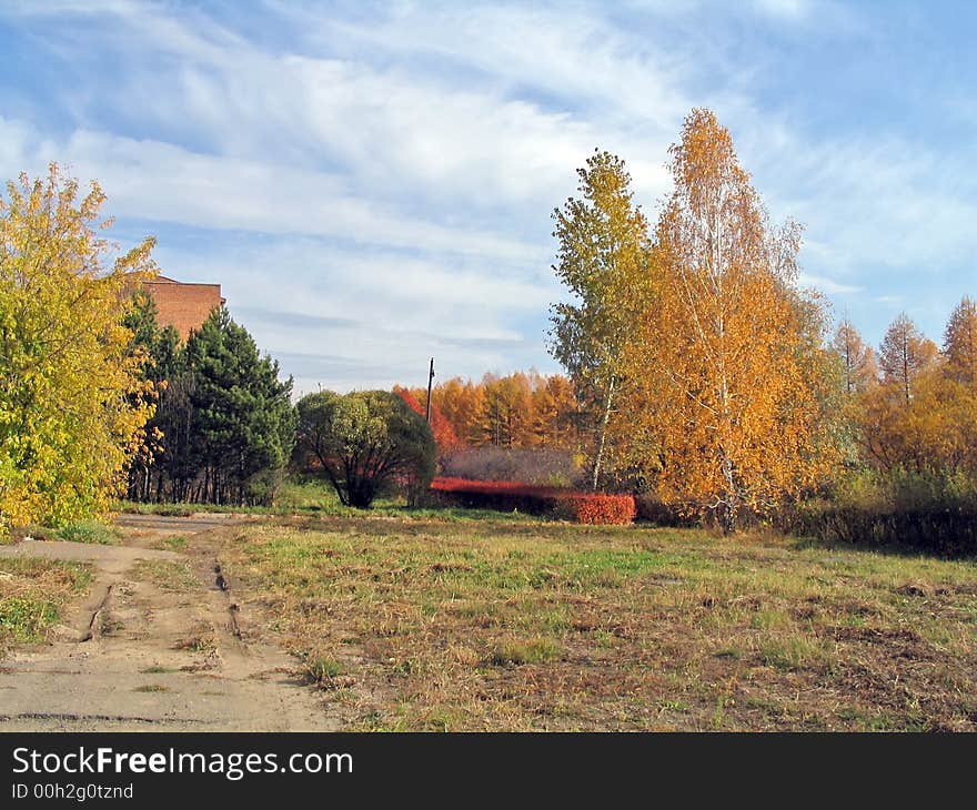 Siberia autumn. Trees with gold leafage under blue sky with whith clouds. Siberia autumn. Trees with gold leafage under blue sky with whith clouds.