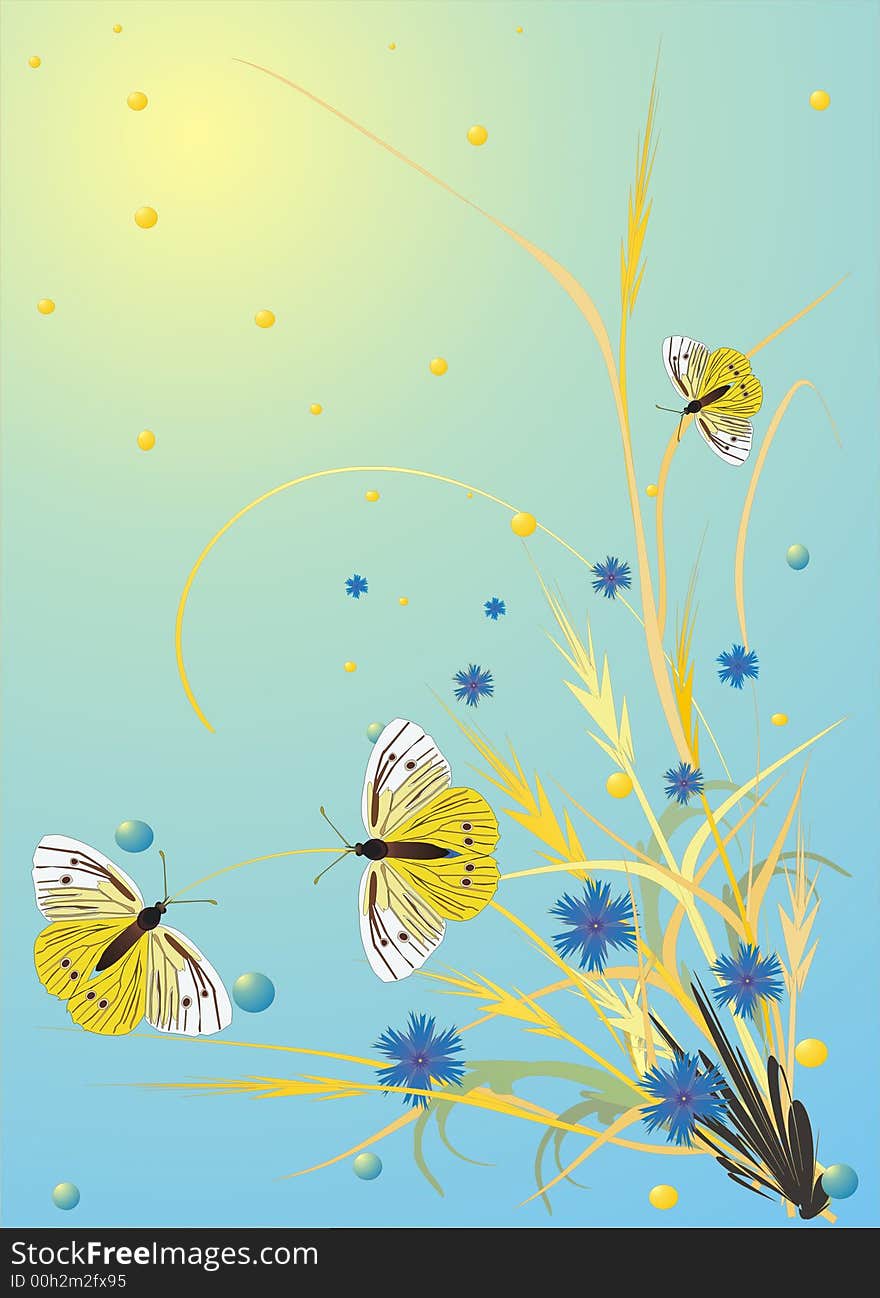 Illustration with butterflies, spikes and flowers on light background. Illustration with butterflies, spikes and flowers on light background