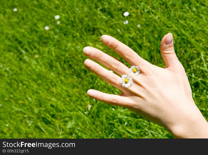 A hand with two daisys with grass in the background