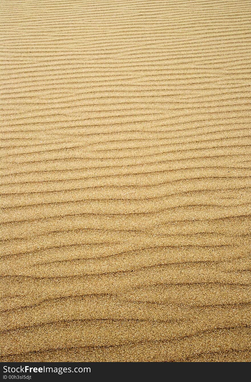 Ripples in the sand left by the tide. Ripples in the sand left by the tide