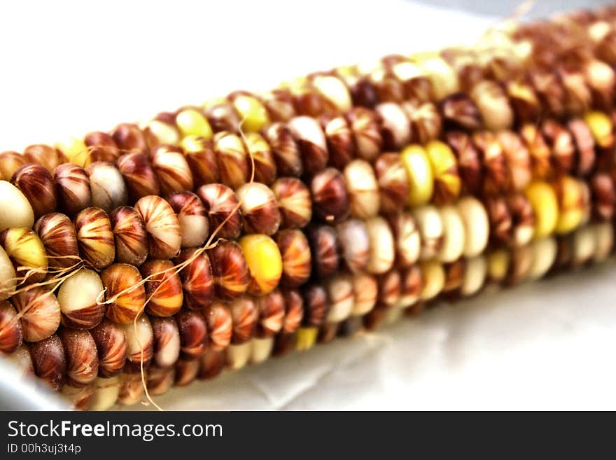 Earthy tones maize. Indian corn with marble.