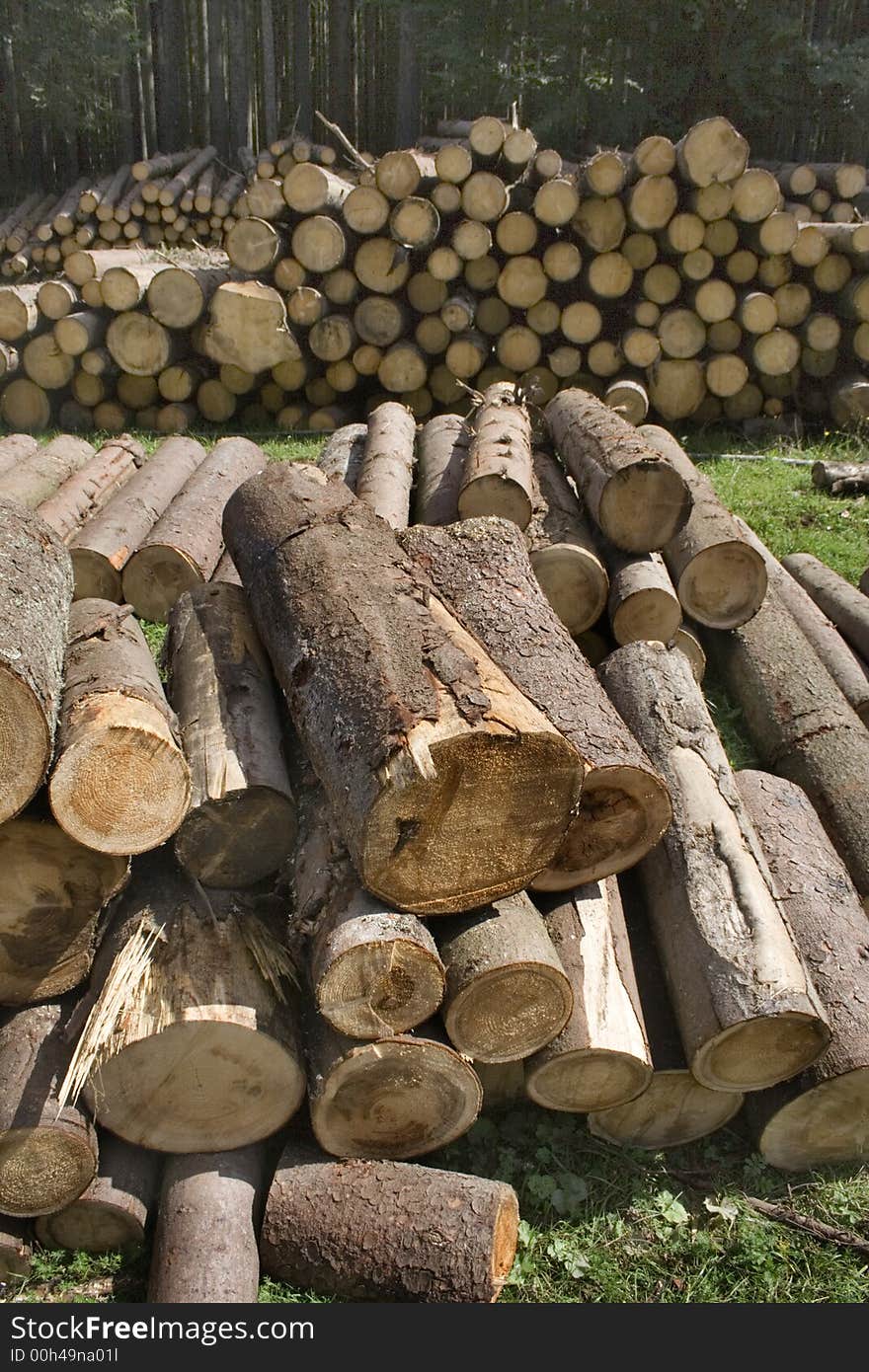 Round timbers ready to go to the factory. Round timbers ready to go to the factory