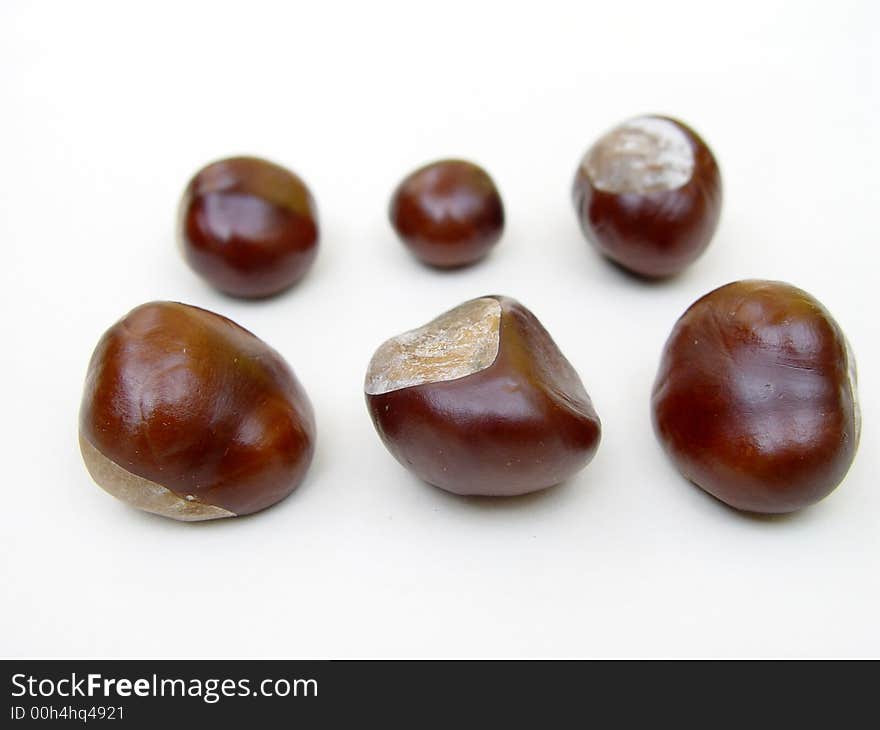 Brown Chestnuts