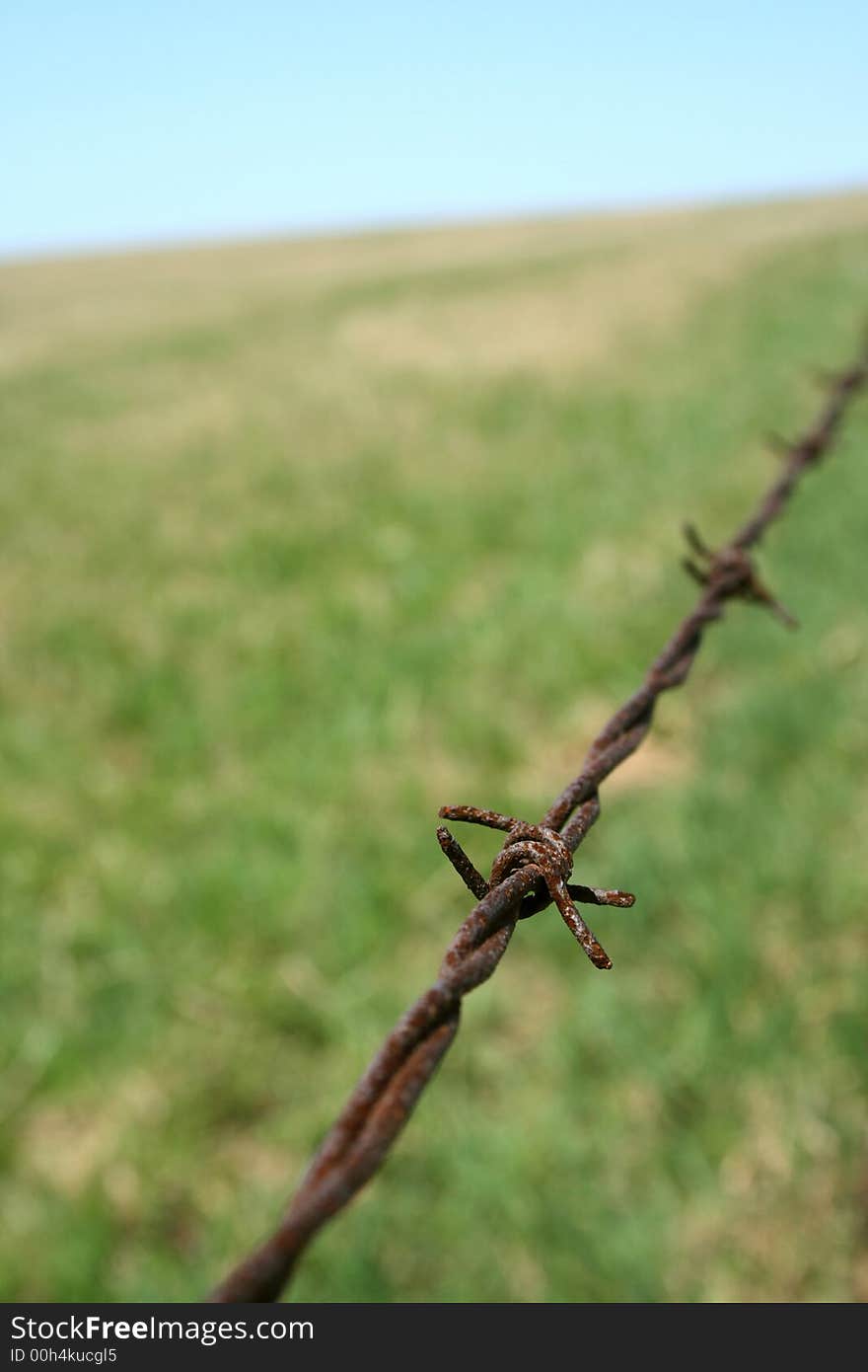 Rusty barbed wire in the field