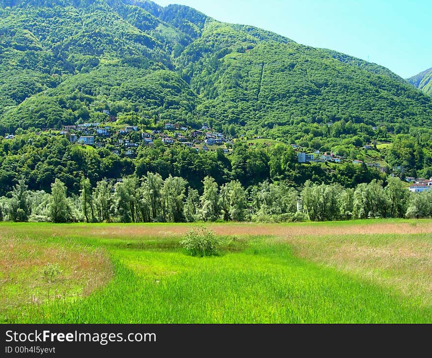 Switss Alps and meadows