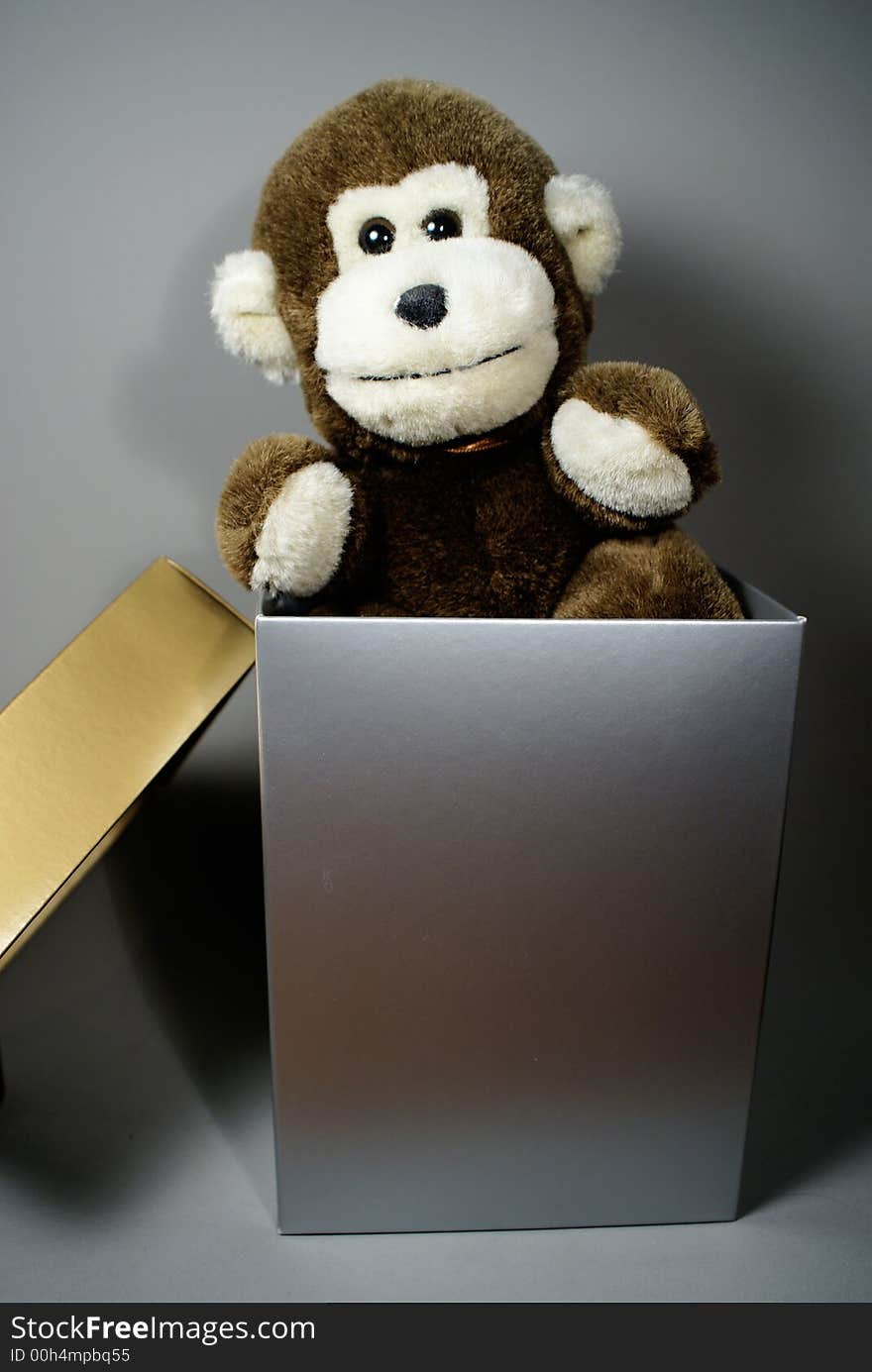 Monkey Inside a Box