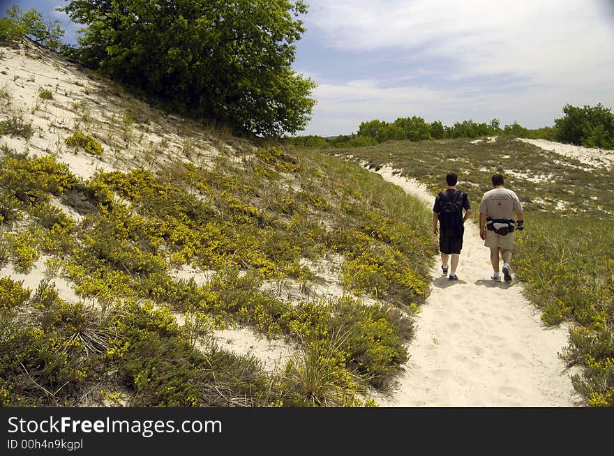 Two guys walking on a trail through some sandy dunes. Two guys walking on a trail through some sandy dunes.