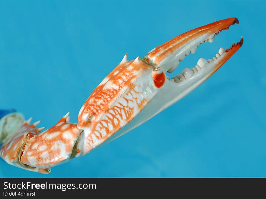 Dried Crab Tong On The Table