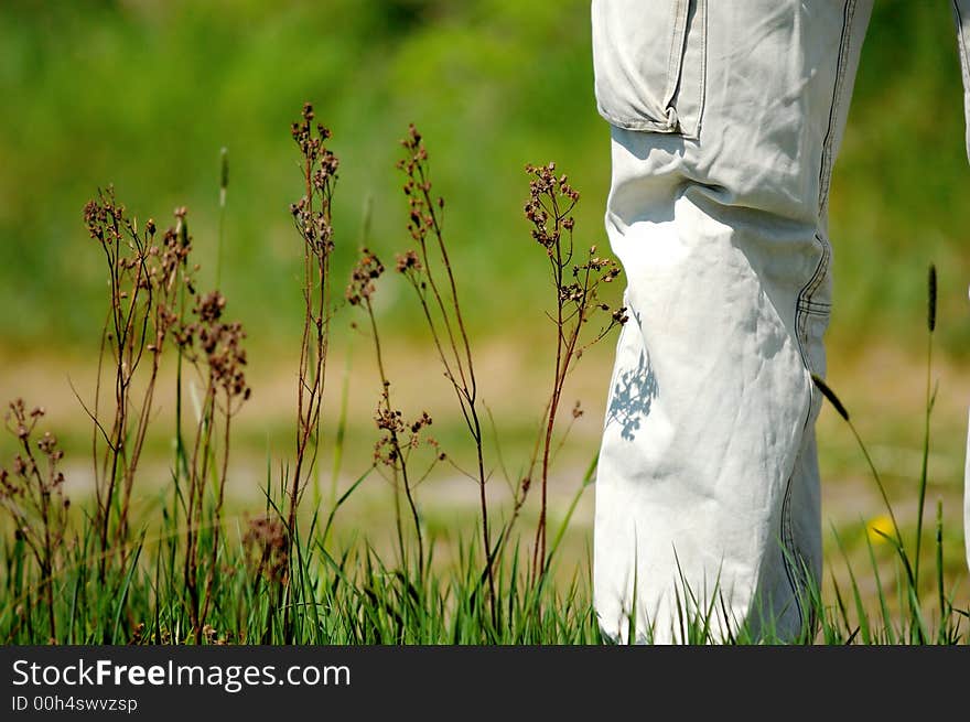 Tourist Leg At The Meadow