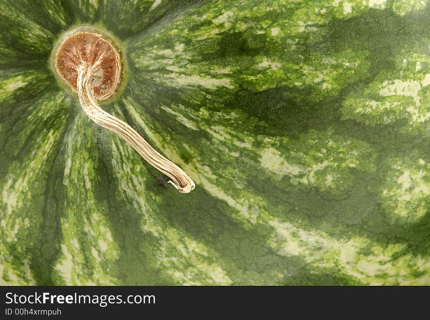 Watermelon close-up