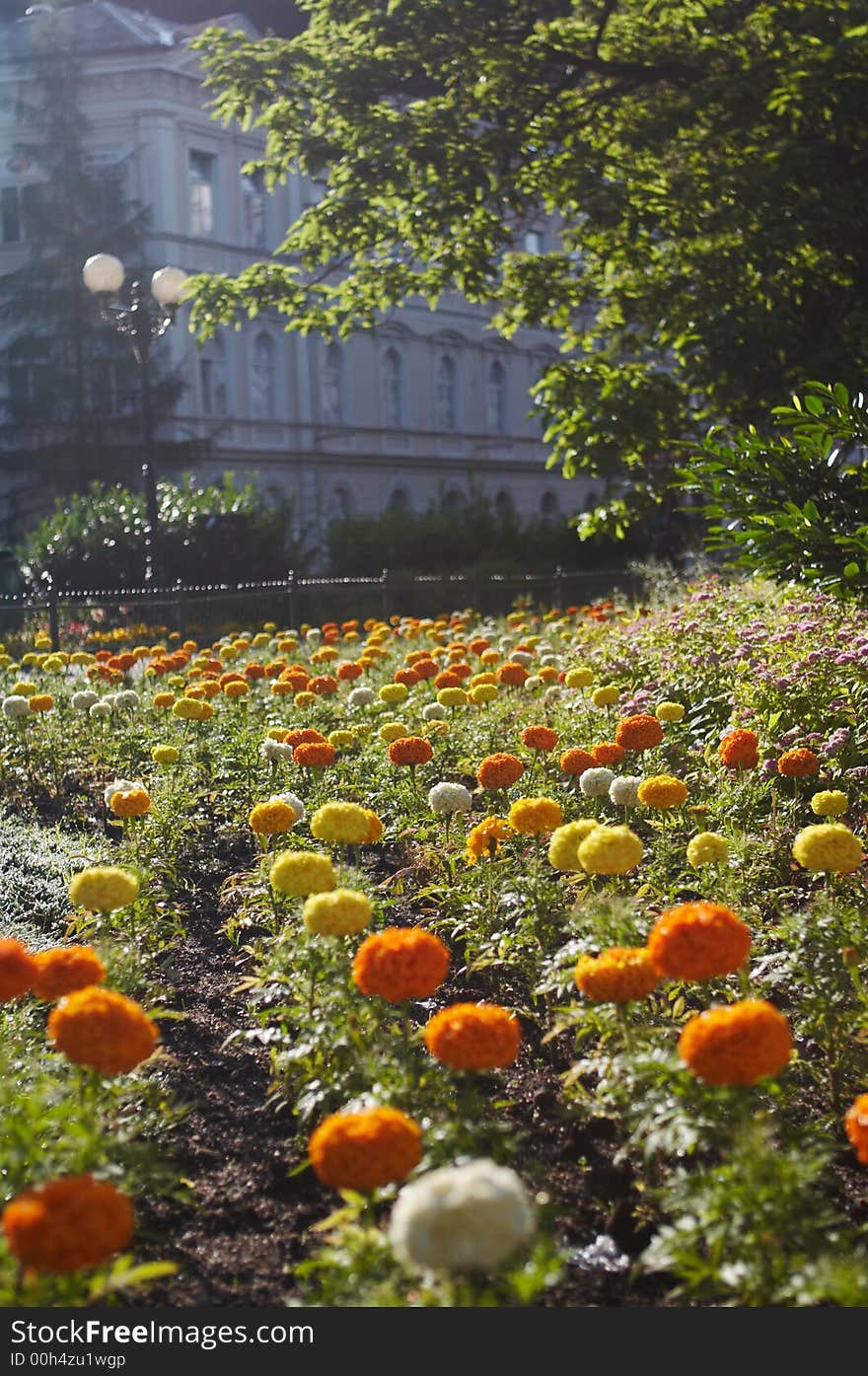 Park in Karlovy Vary