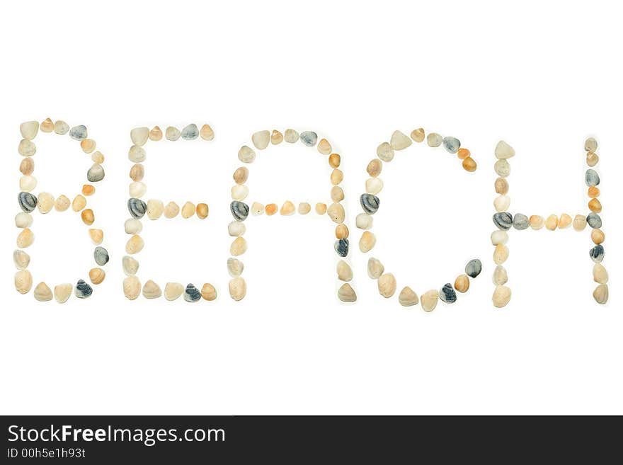 Seashells arranged on a white background to spell out the word BEACH