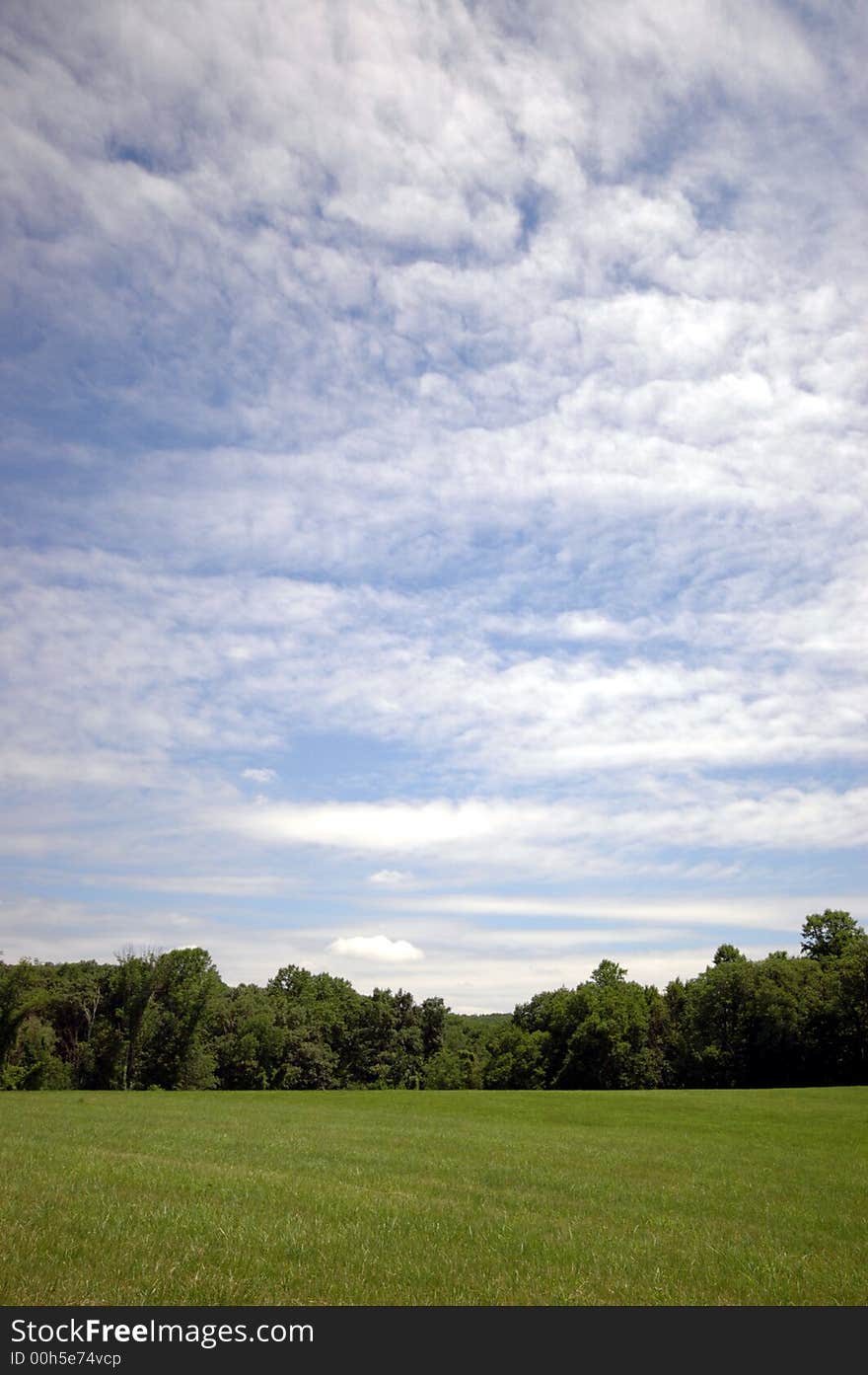 Meadow and Sky