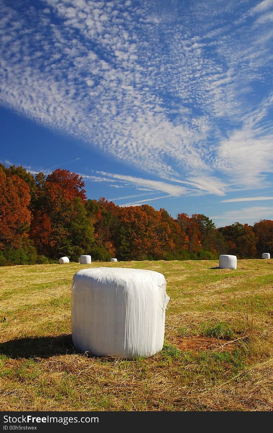 Helen s Farm At Fall Season