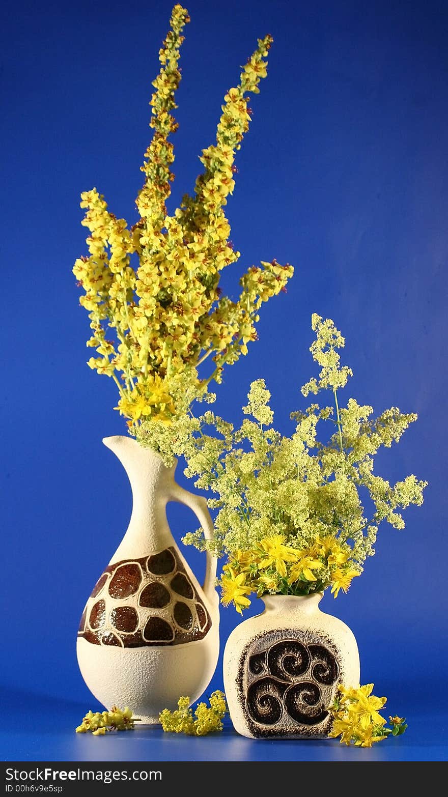 Two vases with bouquets of yellow field colors are photographed on a dark blue background. Two vases with bouquets of yellow field colors are photographed on a dark blue background.