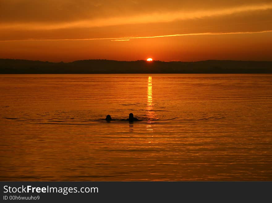 Swimming in a lake bathed in a softglow of a sunset. Swimming in a lake bathed in a softglow of a sunset.