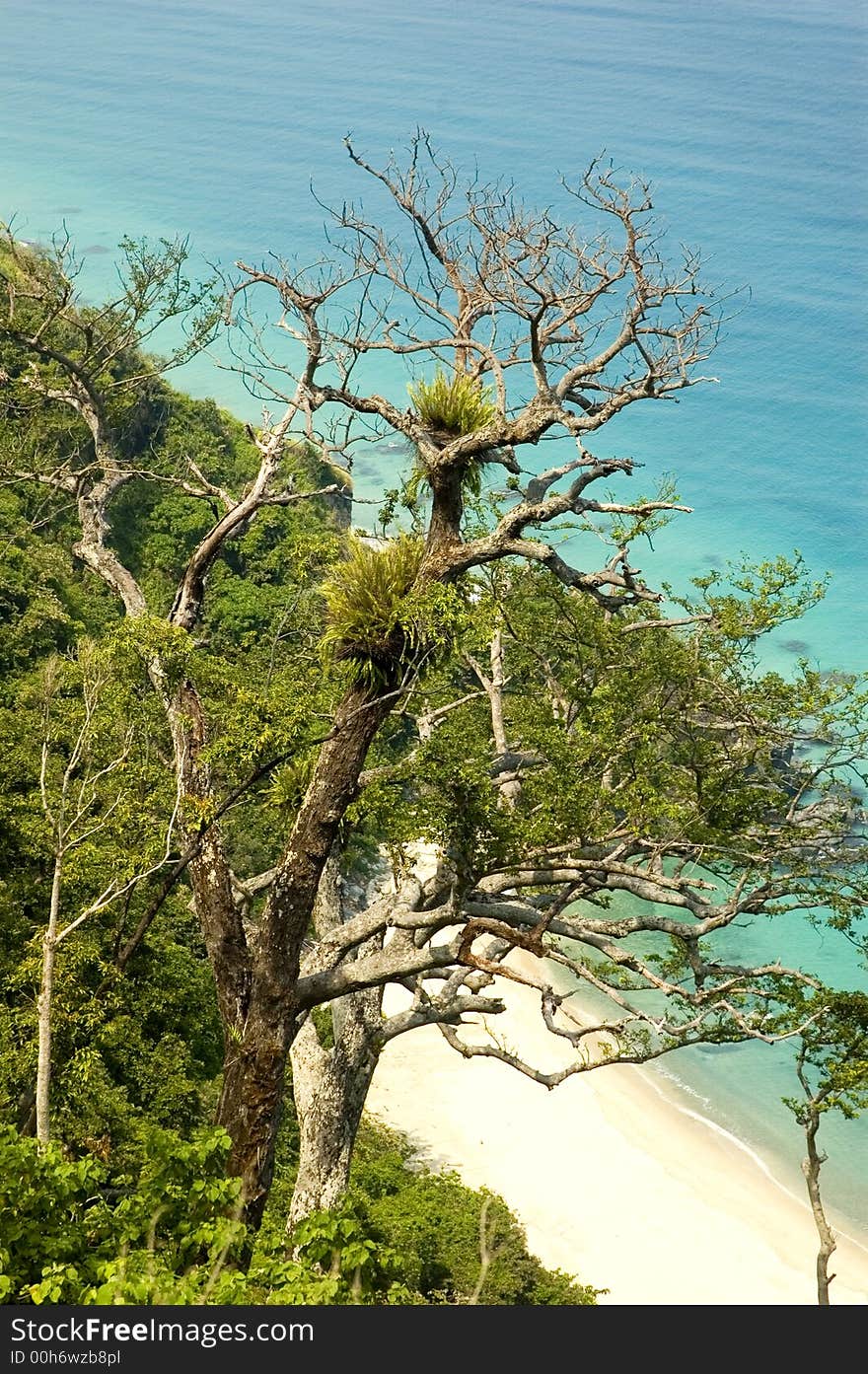 Unspoilt and undiscovered beach in Aurora Province, Philippines. Unspoilt and undiscovered beach in Aurora Province, Philippines