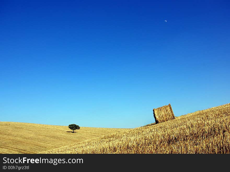 Hay bale in Alentejo field. Hay bale in Alentejo field