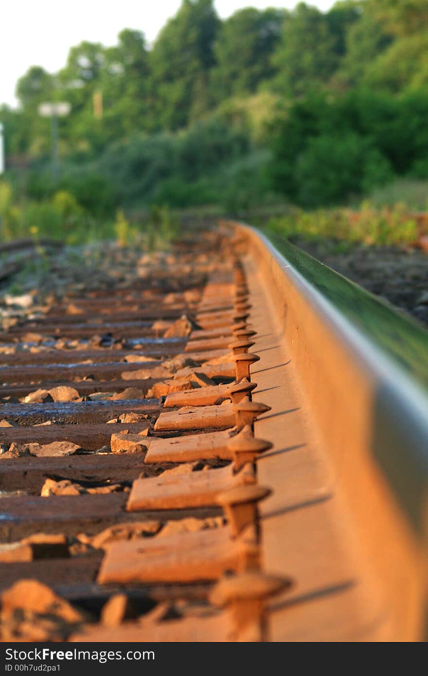 Spikes by a rail, semi-macro. Spikes by a rail, semi-macro