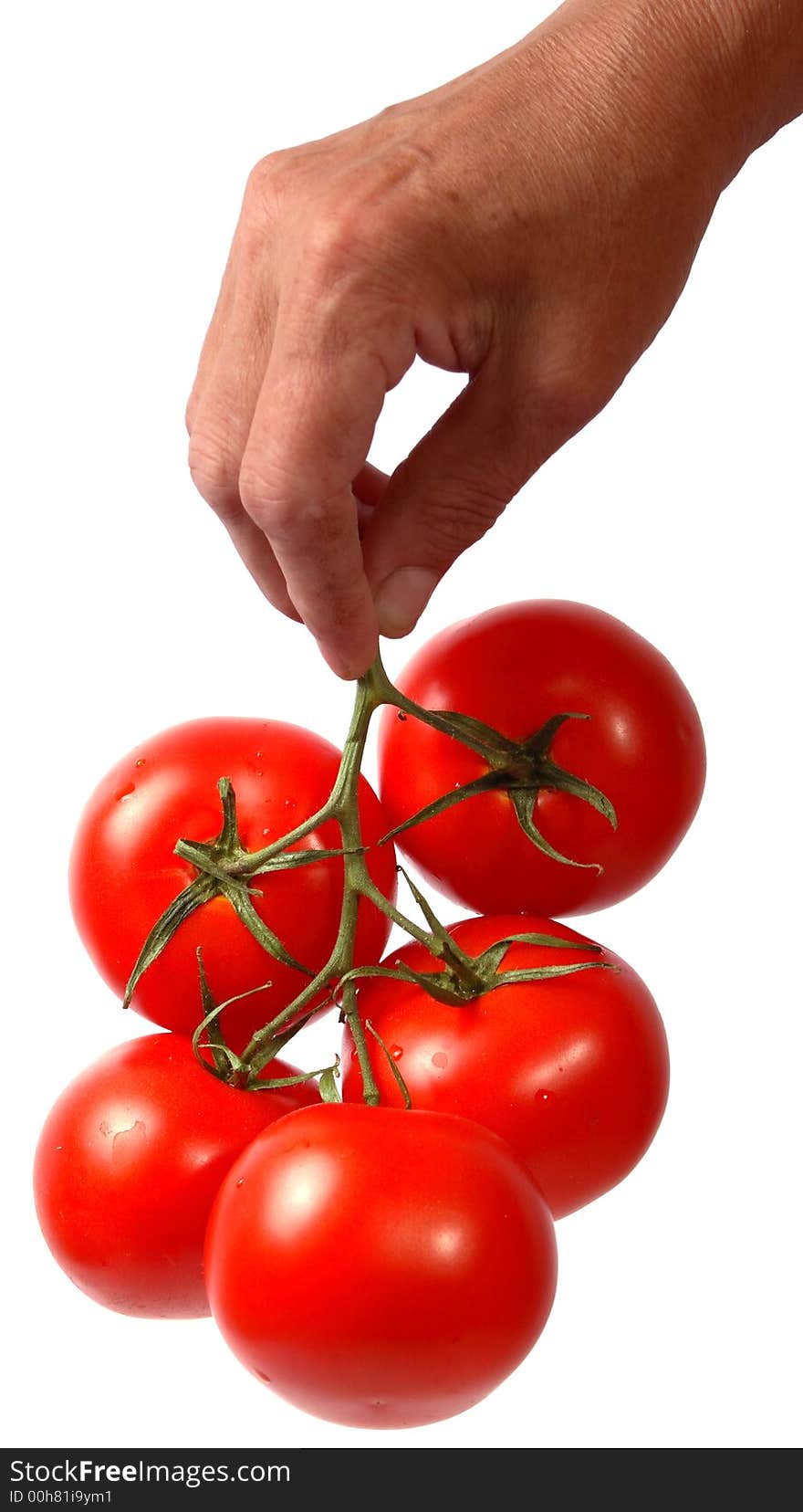 Tomato in hand