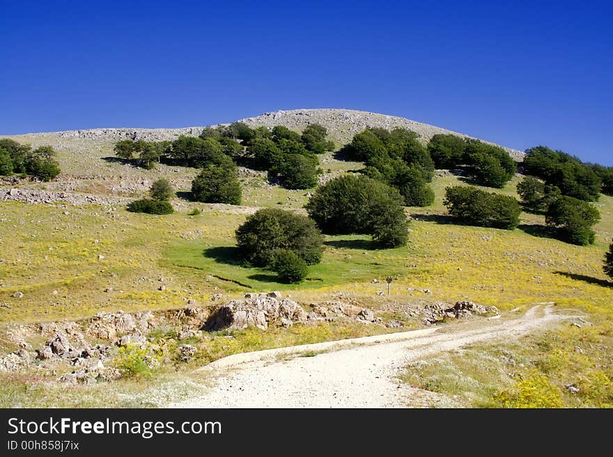 Sicilian Landscape