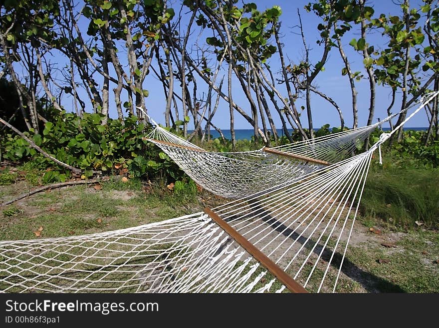 Hammocks