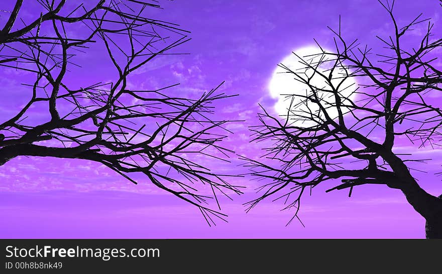 Tree silhouettes  at sunset - 3d scene. Tree silhouettes  at sunset - 3d scene.