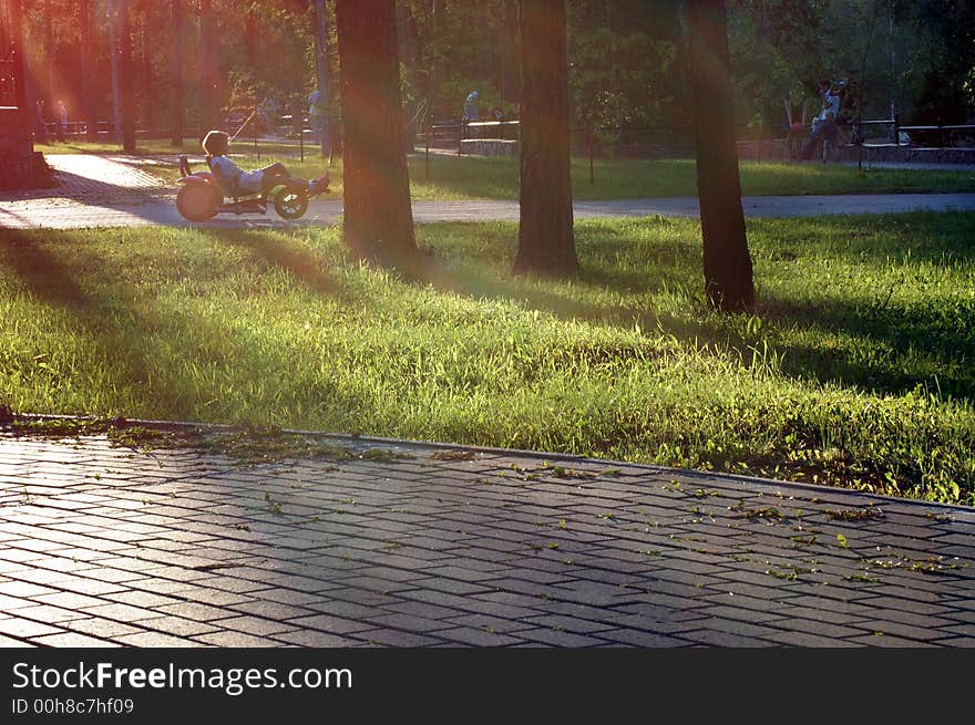 Sunset in the park