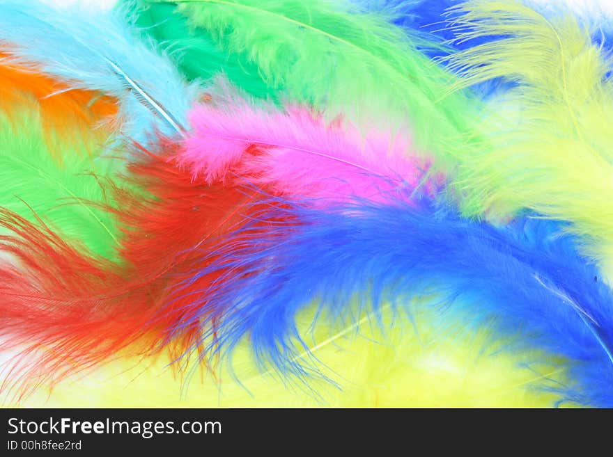 Colored feathers background