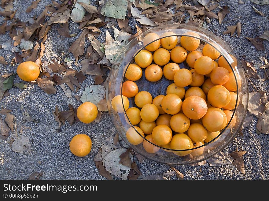 Tangerines in autumn