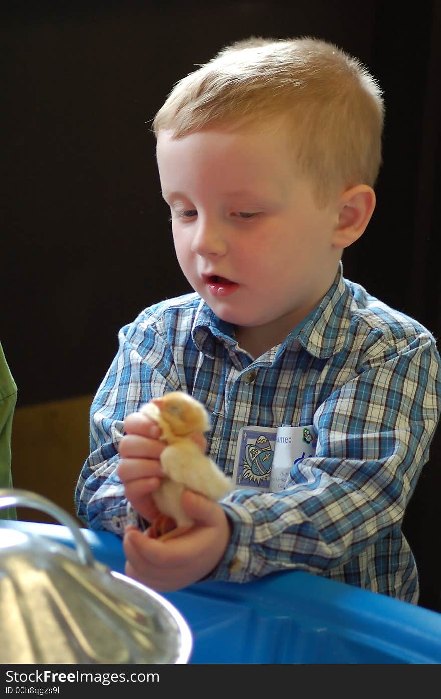 Learning the meaning of new Life firsthand with hatchlings. Learning the meaning of new Life firsthand with hatchlings.