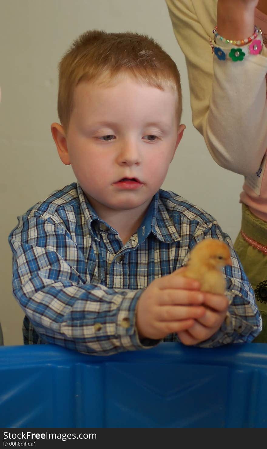 Learning the meaning of new Life firsthand with hatchlings. Learning the meaning of new Life firsthand with hatchlings.