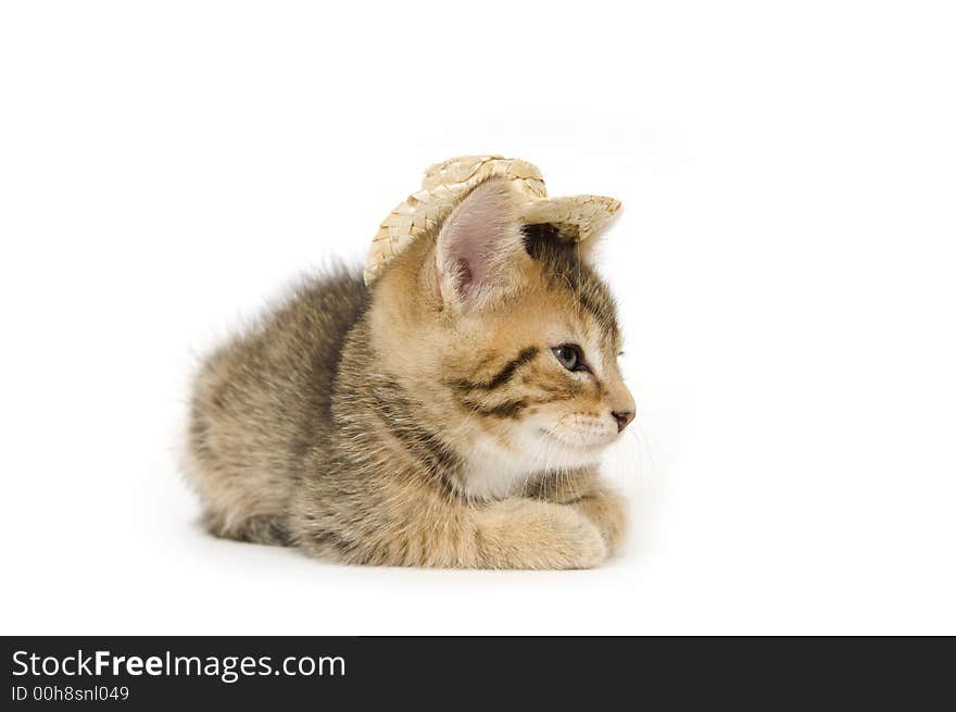 A kitten with a cowboy hat on a white background. A kitten with a cowboy hat on a white background